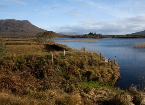 Circuit Irlande classique et îles d'Aran 4* - 7