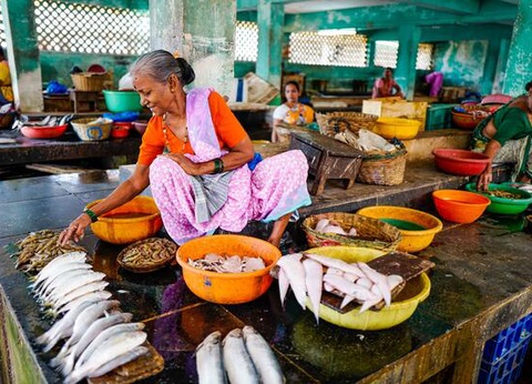 Circuit Charmes de l'Inde du Sud - 5