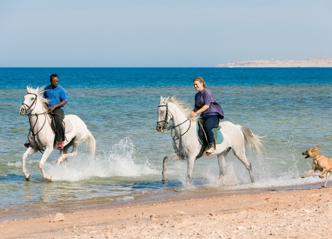 Combiné Le Caire et Mercure Hurghada - 5