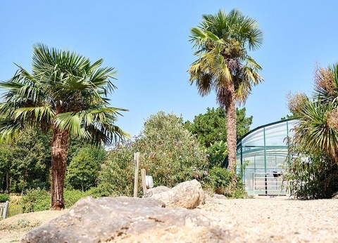 Camping Paradis la Bretonnière, 4* - 69