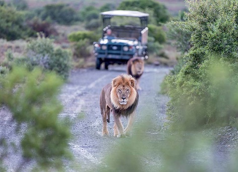 Circuit Afrique du Sud, le Monde en un seul pays - 3