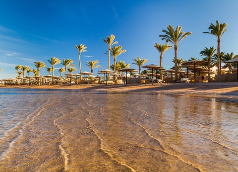 Hôtel Dreams Beach Resort Sharm El Sheikh 5* - 12