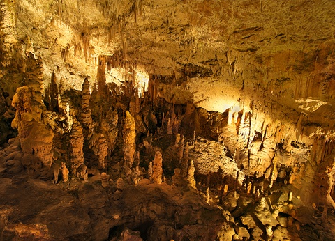 Circuit La Slovénie (au départ du Sud de la France) - 7