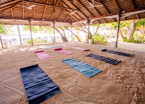 Hôtel Plumeria Maldives 4* - 17