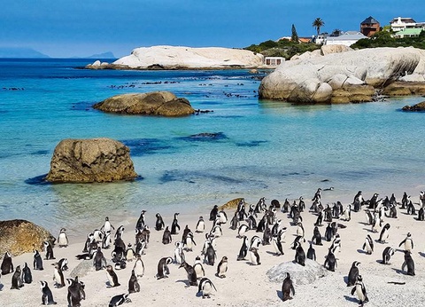 Circuit Afrique du Sud, le Monde en un seul pays - 14