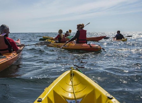 Camping de La Grande Lande, 3* - 18