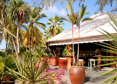 Combiné croisière et hôtel A la découverte des Grenadines et extension à l'hôtel Carayou Hôtel & Spa - 33