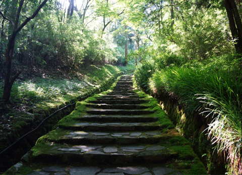 Circuit Capitales Nippones en Liberté, de Kyoto à Tokyo 3* et Ryokan - 6