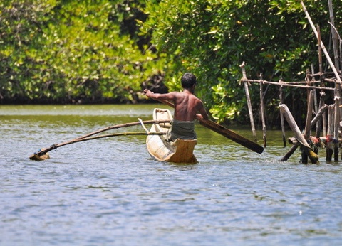Circuit Ceylan, Perle de l'Océan Indien - 23