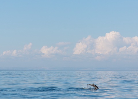 Autotour Les Pouilles en Liberté 4* - 13