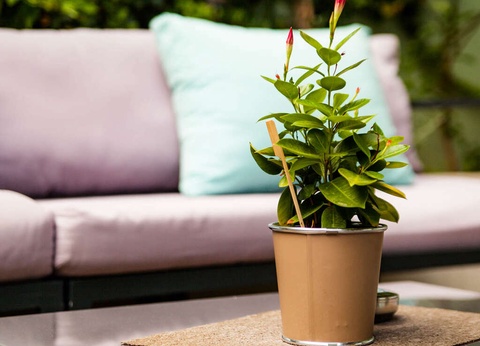 Séjour détente à Cannes avec accès au spa et remise sur les massages - 4* - 6