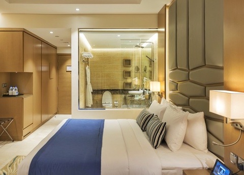 Hôtel Fram Sélection Royal Central The Palm ***** - 7