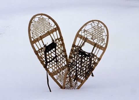 Circuit Échappée polaire au Cap Nord - 9