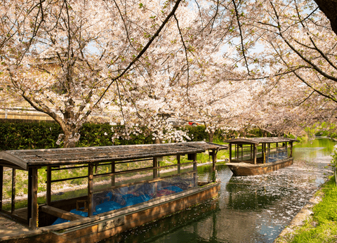 Circuit Capitales Nippones en Liberté, de Kyoto à Tokyo 3* et Ryokan - 11