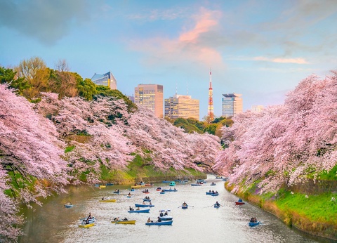 Combiné : La Grande Découverte du Japon et de la Corée en 3 semaines - 4