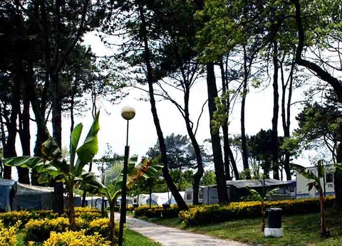 Camping Angeiras, 3* - 45