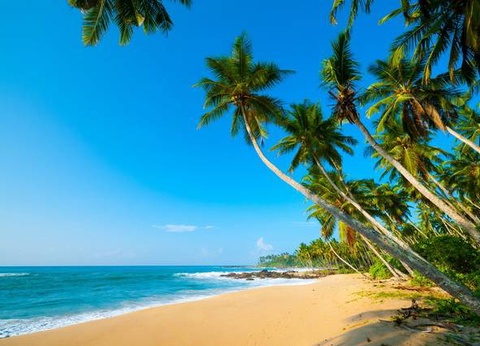 Circuit Ceylan Bonheur - 21