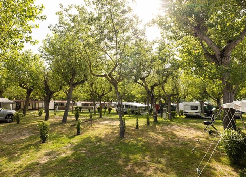 Camping Classe 3* - 65