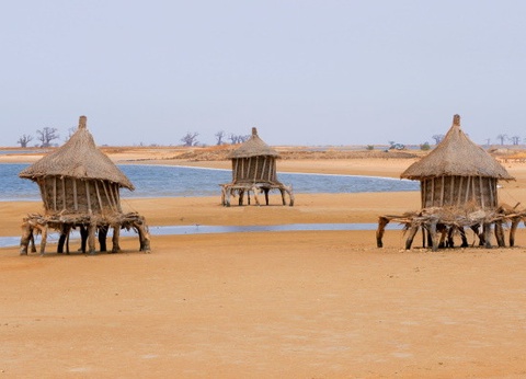 Circuit Beautés du Sénégal et balade avec les lions de Fathala en privatif - 3