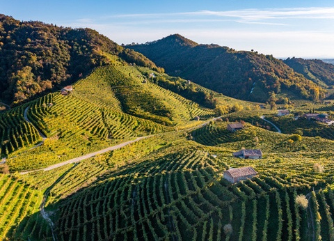 Circuit Richesses de la Vénétie à Trieste 3* - 13