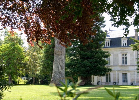 Luxe, nature et spa à moins d'une heure de Bordeaux - 5