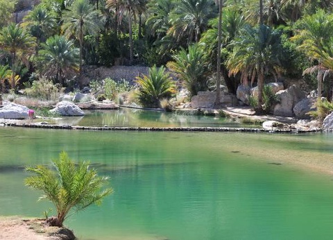 Circuit Impressions omanaises + Péninsule du Musandam - 11