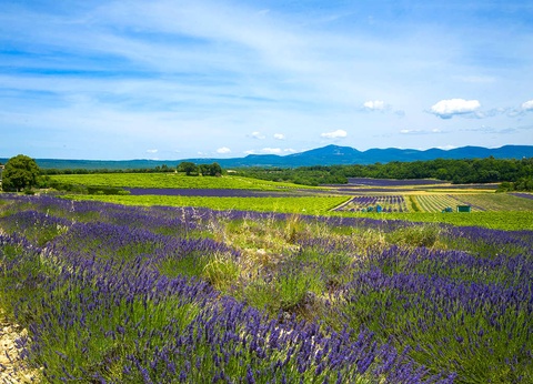 Profitez d'un diner aux saveurs provençales et d'un accès au spa (2 nuits) - 3* - 23