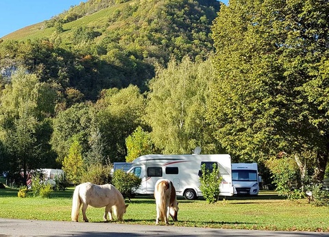 Camping La Forêt, 4* - 9