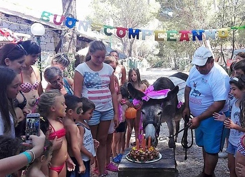 Camping Village El Bahira, 4* - 13