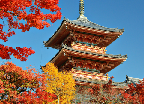 Circuit Capitales Nippones en Liberté, de Kyoto à Tokyo 3* et Ryokan - 12