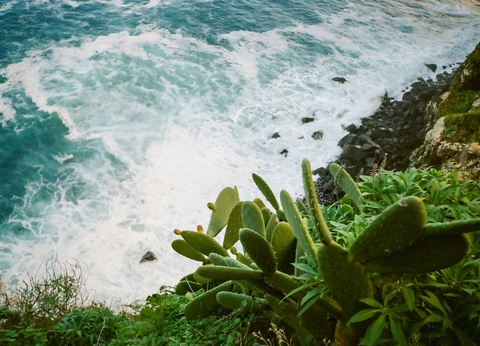 Circuit Madère sauvage : chemins d'eau et crêtes vertigineuse *** - 7