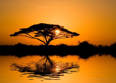 Combiné Circuit et Hôtel Papillon Lagoon Reef 3* - 6