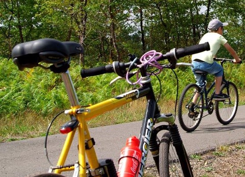 Camping Landes Bleues, 4* - 33