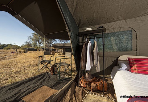 Immersion au Botswana 11J/8N - 2025 - 4