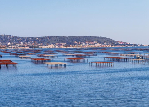 Camping Beau Rivage 4* - 69