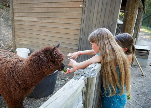 Camping Verdon Parc 4* - 25