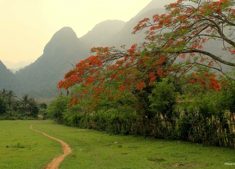 Circuit De Luang Prabang aux montagnes du nord - 3