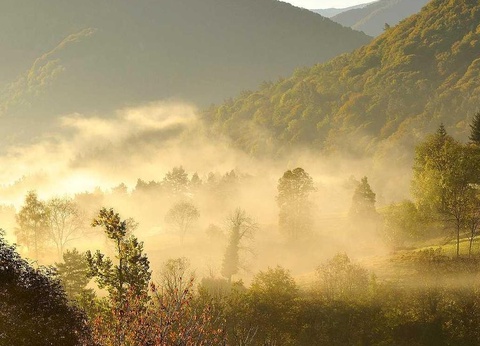 Camping Les 4 Saisons, 3* - 38