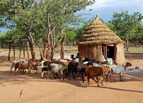 Circuit Pays himba, dunes et réserves de Namibie - 15