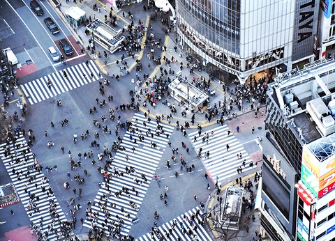 A la découverte du Japon (de Tokyo à Osaka) - 4