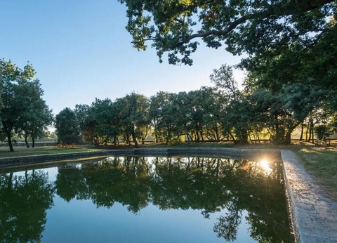 Camping Domaine de l'Orangerie de Lanniron 5* - 36