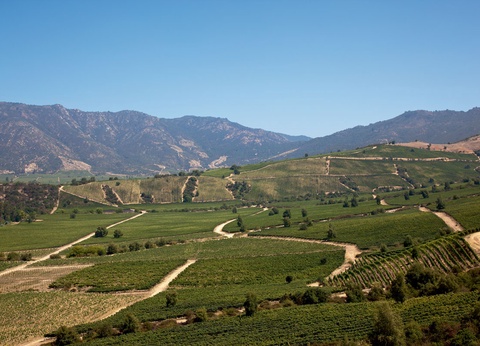 Croisière en Patagonie et Terre de Feu et extension Découverte des chutes d'Iguazu - 14