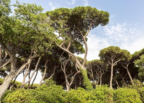 Hu Park Albatros Village, 4* - 125