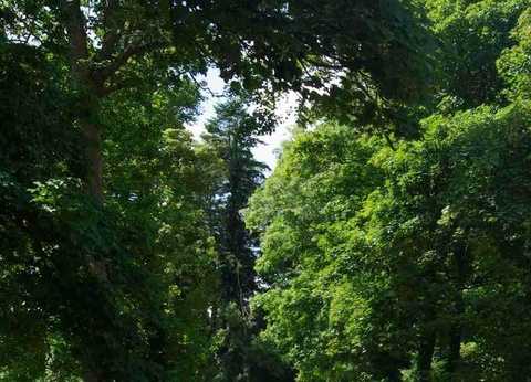 Camping La Ferme du Bord de Mer - 41