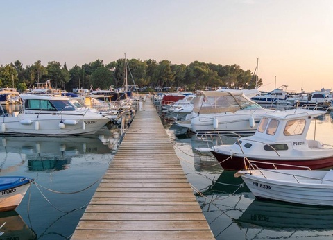 Brioni Sunny Camping - 12