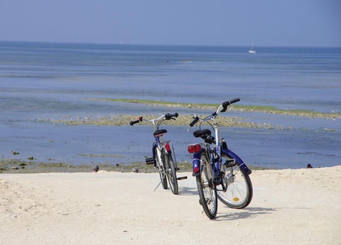 Camping Le Suroit 4* - 23