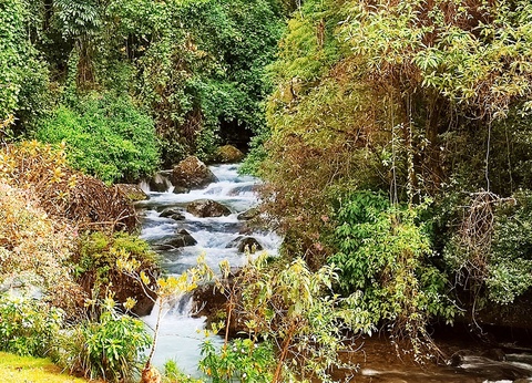 Circuit Costa Rica Autrement - 6