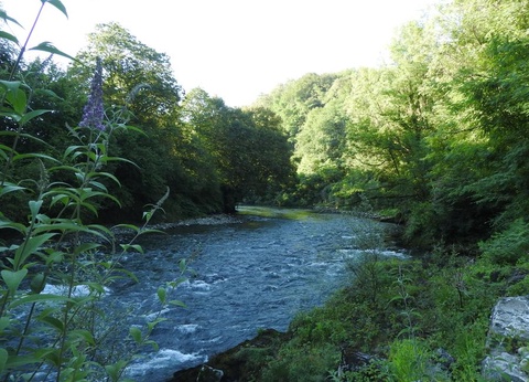 Camping Le Saillet, 3* - 29