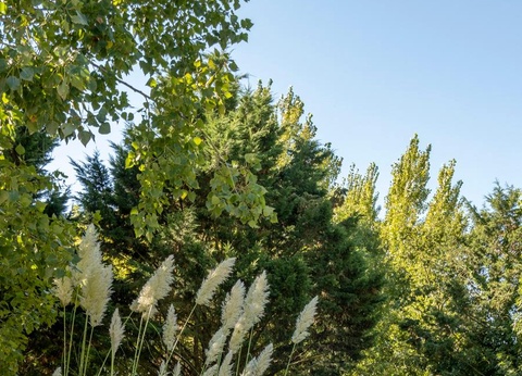 Camping Les Mizottes, 4* - 29