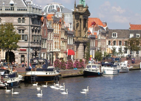 Découvrez Haarlem et visitez le Keukenhof ! - 4* - 12